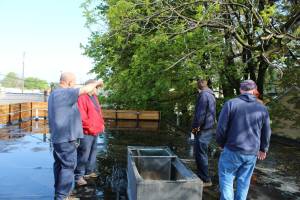 IMG_0756_original_copy_1